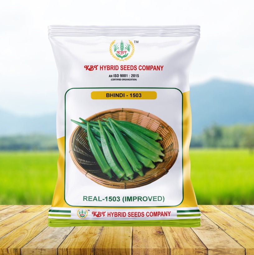BHINDI 1503 ( Improved ) 250g