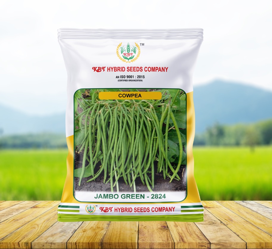 Cowpea JAMBO Green-2824 250g