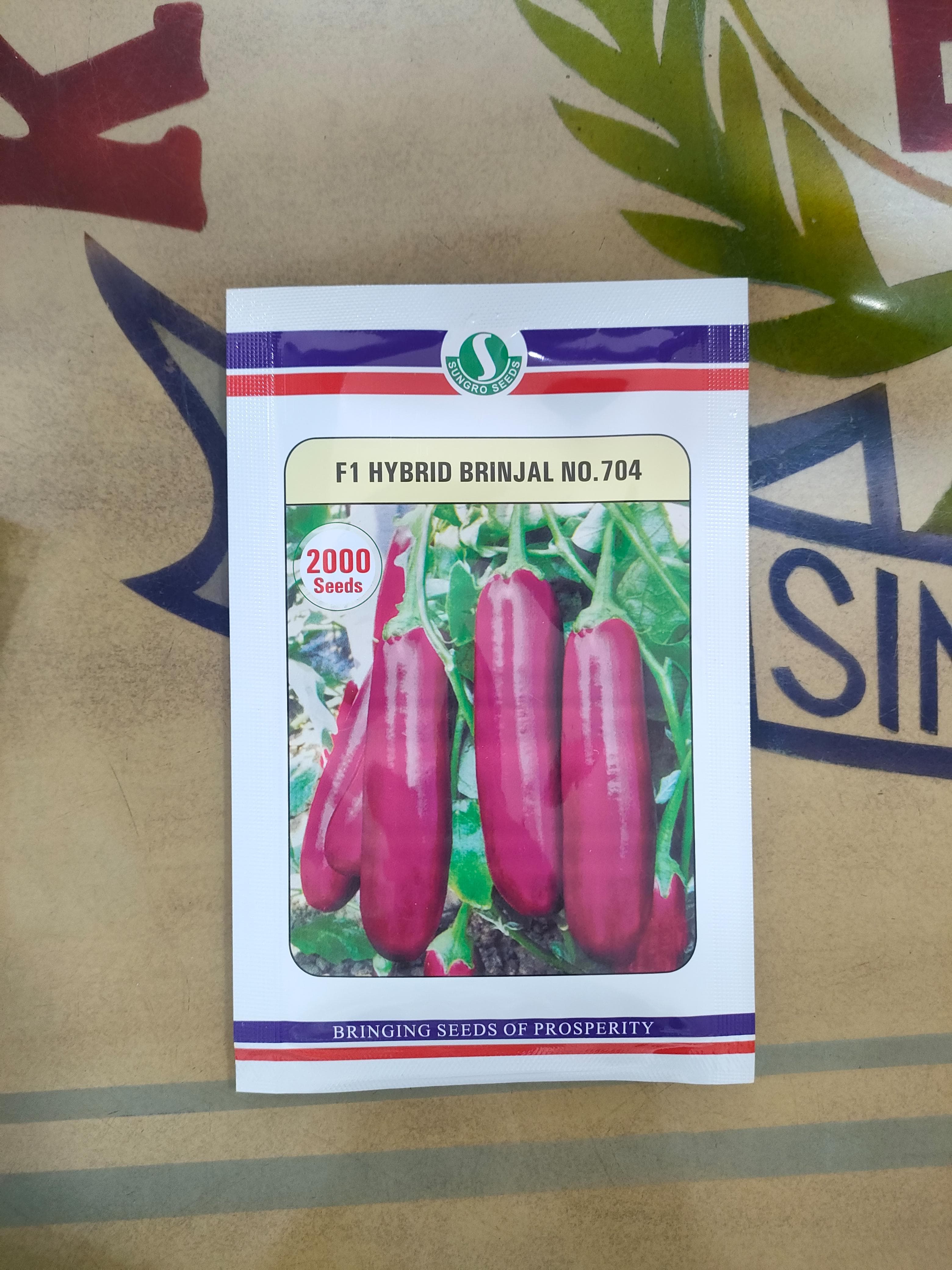 F1 HYBRID BRINJAL No. 704 | 2000 Seeds ( 9.7g )