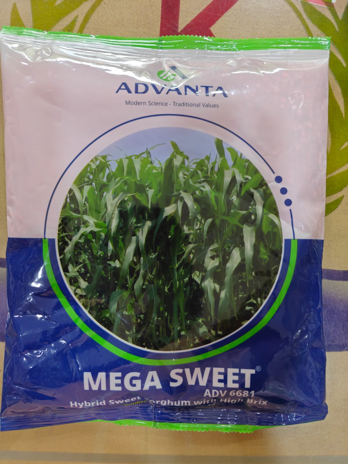 Advanta Mega Sweet ADV 6681 Hybrid Sweet Sorghum Seeds 1kg