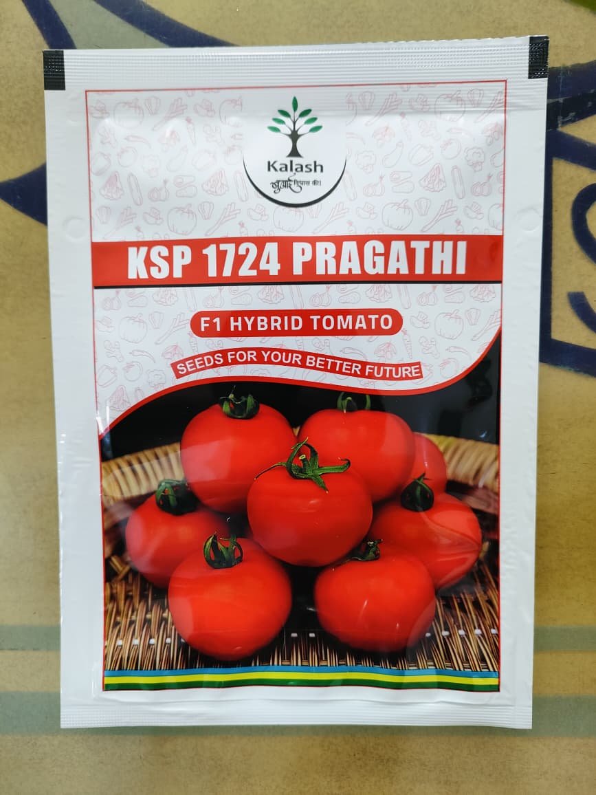 KSP 1724 Pragathi F1 Hybrid Tomato