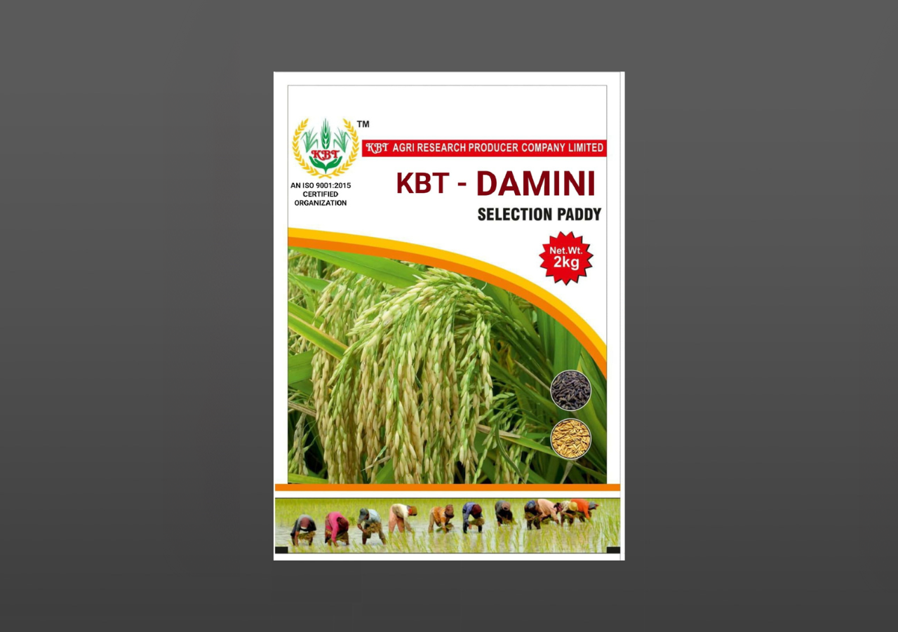 KBT - DAMINI 2Kg | KBT Agri Research